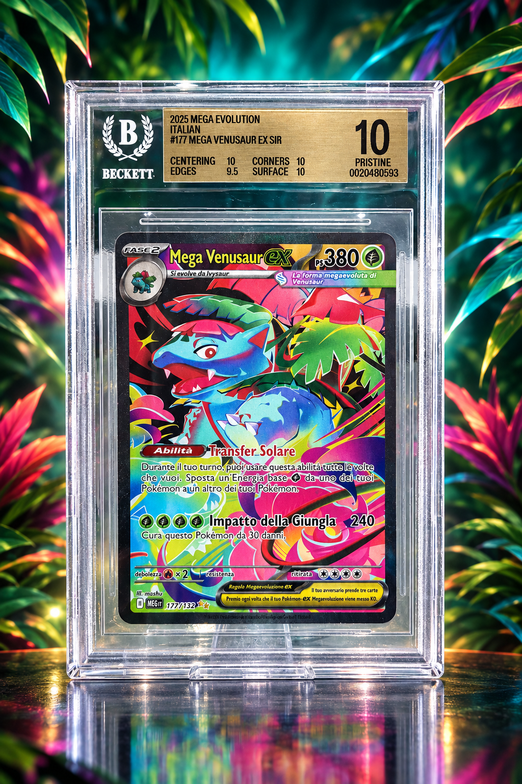 Fronte Mega Venusaur EX BGS 10